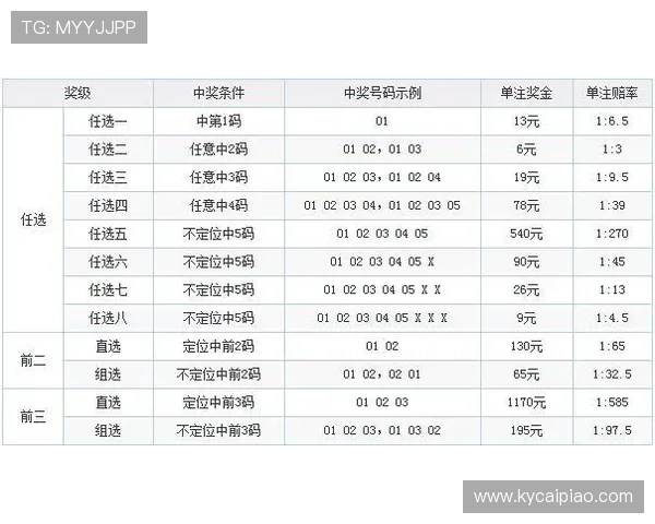 幸运11选5全程视频解析 揭秘投注技巧与中奖秘诀轻松掌握