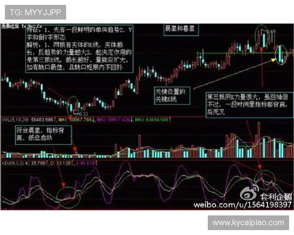 广东十一选五明天走势分析与预测专家推荐技巧解读