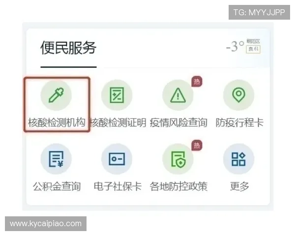 官方飞艇实时信息查询与动态服务全流程指南