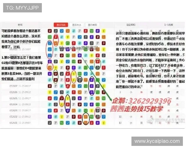 极速飞艇走势图解析与技巧全方位趋势分析指南